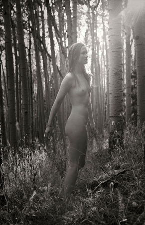 "New Mexico", Susie, afternoon, aspen, light, nude, sepia, sequence, toned