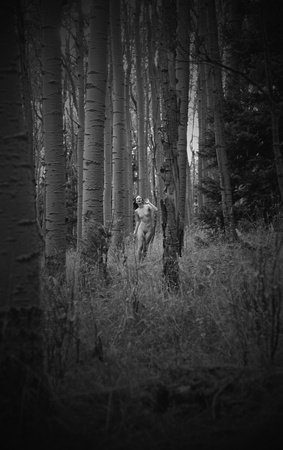 "New Mexico", Susie, afternoon, aspen, light, nude, sepia, sequence, toned